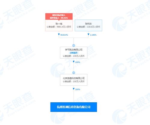 商務信息咨詢 企業決策的智慧引擎