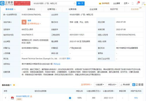 華為在廣西成立技術服務公司，助力區(qū)域信息技術咨詢發(fā)展