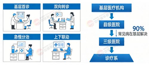 2026-2030年中國體外診斷行業(yè)全景調(diào)研與投資戰(zhàn)略規(guī)劃分析 信息技術(shù)咨詢服務(wù)的賦能與引領(lǐng)